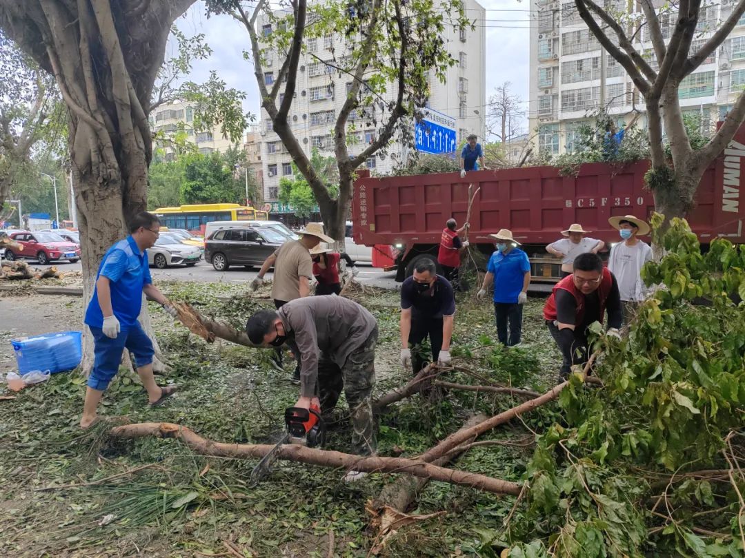 海南省社科聯（社科院）積極參與災后重建
